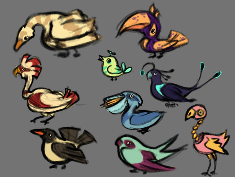 Initial Bird Concepts