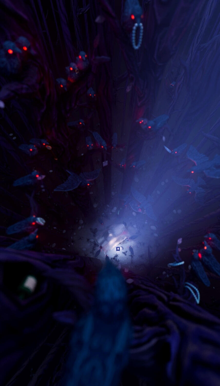 Murder of Crows