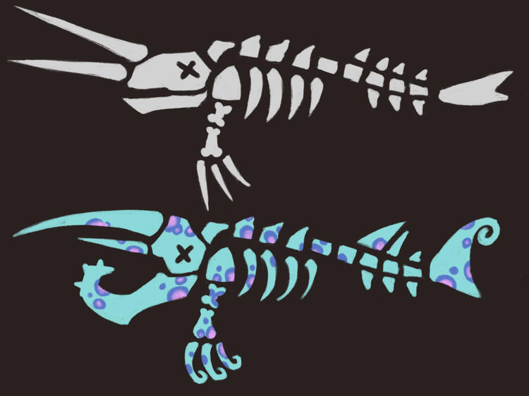 Narwhal Bone Distortion