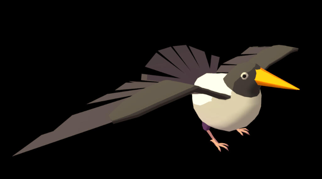Pied Poko