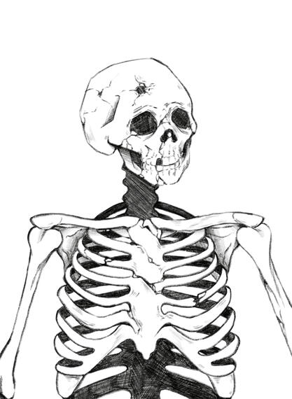 Skeleton