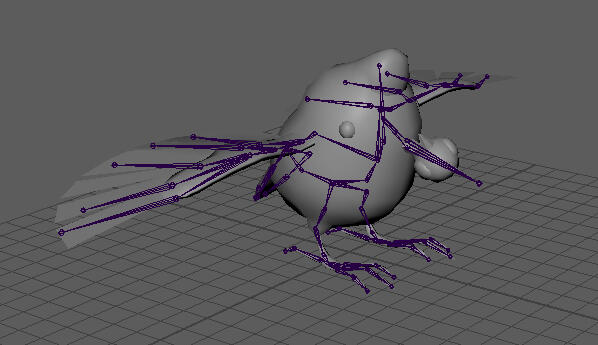 Shrikebeaked Poko Rig