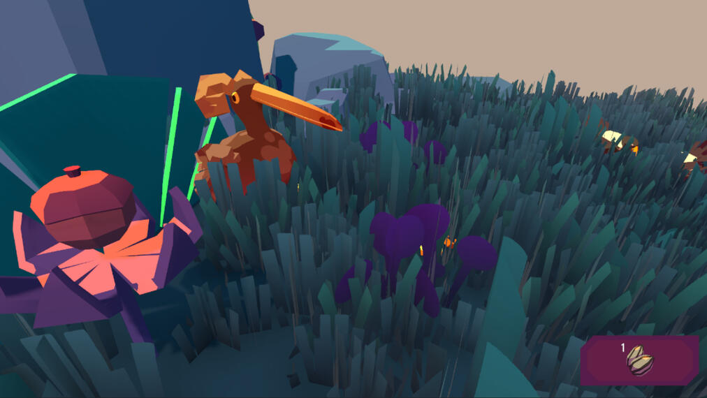 Common Woodram Spotting