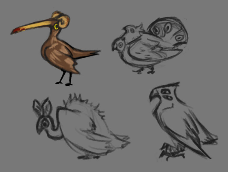 Prairie Bird Concepts