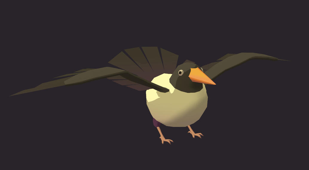 Pied Poko